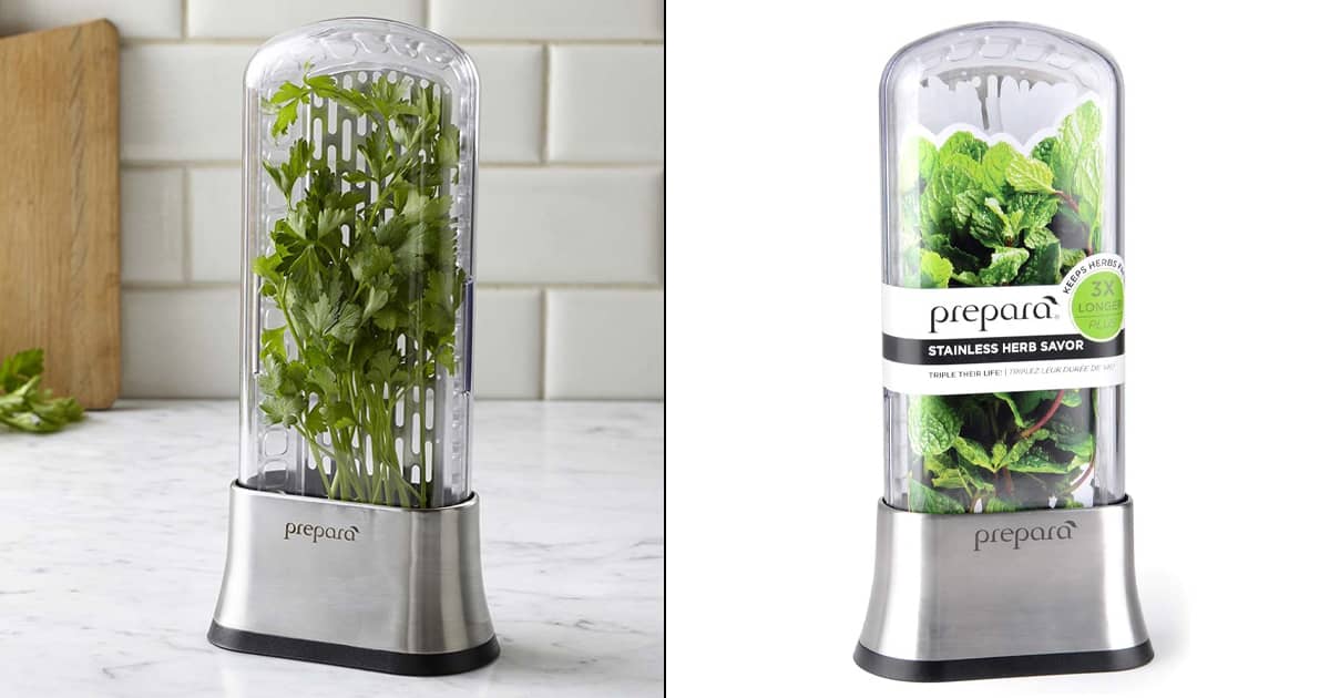 Prepara Stainless Steel Fresh Herb Storage Pod The Green Head