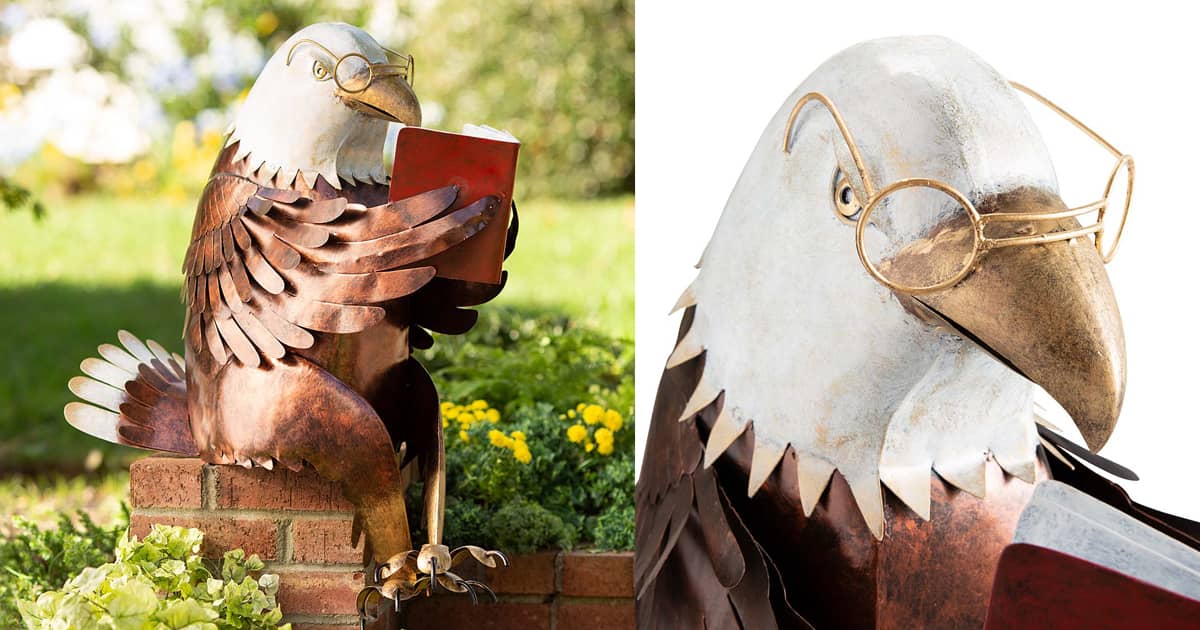 Reading Bald Eagle Metal Sculpture The Green Head