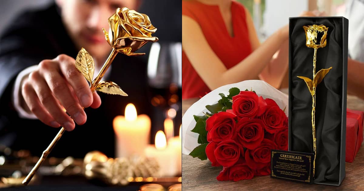 Rose In Gold Real Rose Dipped in 24K Gold | The Green Head