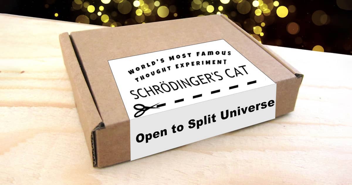 Schrodinger's Cat In A Box Thought Experiment The Green Head