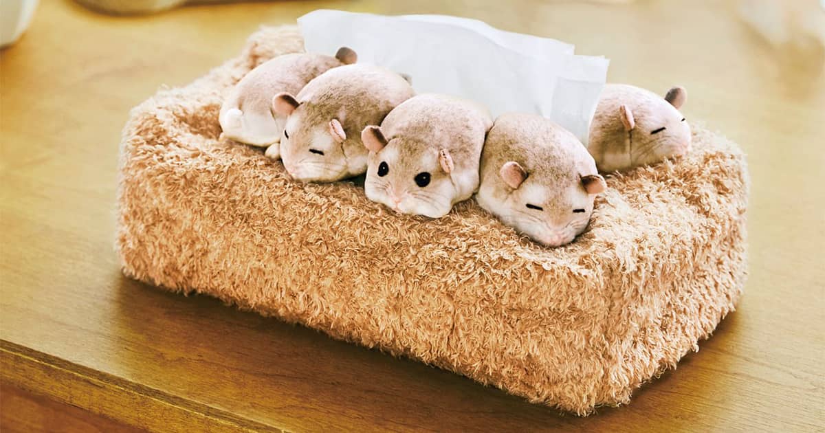 Sleeping Hamsters Tissue Box Cover The Green Head