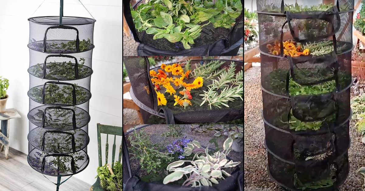 Stack!t Collapsible Herb and Flower Drying Rack The Green Head