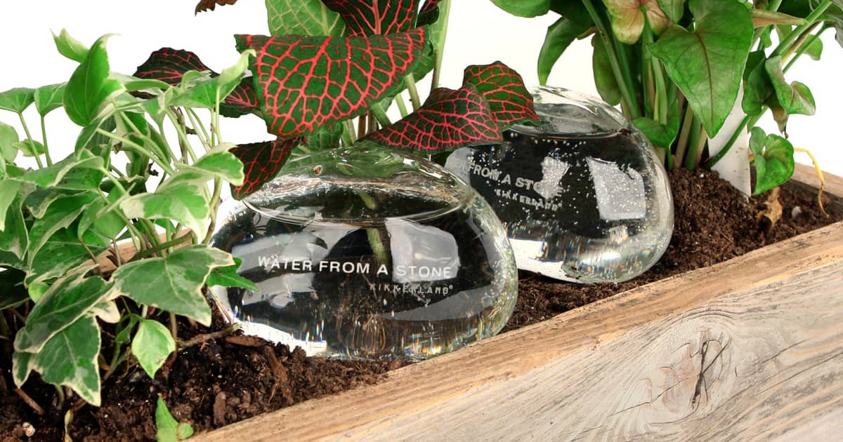Water From A Stone - Glass Stone Plant Waterers | The Green Head