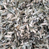 100% Real Shredded Money - Sealed Bag Stuffed With Up To $500!