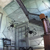 12 Foot Black Spider Web with Giant Spiders