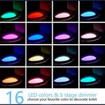 16 Color-Changing Toilet Night Light
