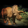 20 Foot Animatronic Triceratops
