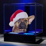 3D Hologram Display Cube