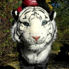 3D Tiger Head Plush Backpack