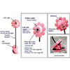4UCAM Handheld Dancing Daisy Wireless Color Baby Monitor