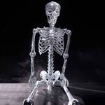 6-Ft Disco Ball Skeleton - 97,200 Mirrors!