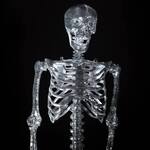 6-Ft Disco Ball Skeleton - 97,200 Mirrors!