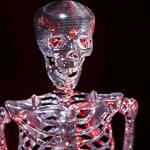 6-Ft Disco Ball Skeleton - 97,200 Mirrors!