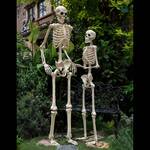 6 Ft Tall Crazy Bonez Pose-N-Stay Skeleton
