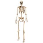 6 Ft Tall Crazy Bonez Pose-N-Stay Skeleton