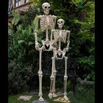 6 Ft Tall Crazy Bonez Pose-N-Stay Skeleton