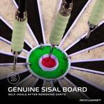 Accudart Nighthawk Dartboard - No Shadow White LEDs / Blacklight
