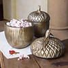 Harvest Acorn Canisters