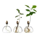 Acorn Vase