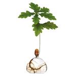 Acorn Vase