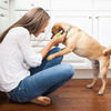 Aculief - Wearable Acupressure Headache and Tension Reliever