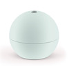 Ice Ball Flavor It Water Bottle