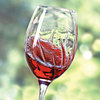 Aerating Wine Glasses - Just Swirl