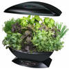 AeroGarden - Automated Indoor Kitchen Garden