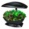 AeroGarden - Automated Indoor Kitchen Garden