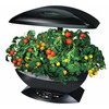 AeroGarden - Automated Indoor Kitchen Garden