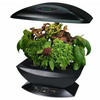 AeroGarden - Automated Indoor Kitchen Garden