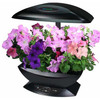 AeroGarden - Automated Indoor Kitchen Garden