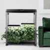 AeroGarden Farm XL