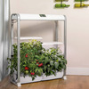 AeroGarden Farm XL