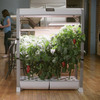 AeroGarden Farm XL