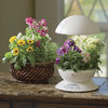 AeroGarden3 - Florist in a Box Set