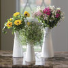 AeroGarden3 - Florist in a Box Set