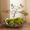 Aged Iron Ruffle Planter