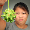 Airborne Microbes Screaming Diseases - The Fun Way to Spread Germs