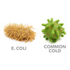 Airborne Microbes Screaming Diseases - The Fun Way to Spread Germs