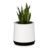 AIRY Air Purifying Planter