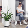 AIRY Air Purifying Planter