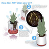 AIRY Air Purifying Planter