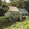 Alexandria Chicken Coop and Run
