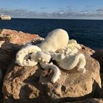 Alfred the Giant Crocheted Octopus