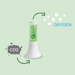 AlgenAir Aerium - Natural Algae Air Purifier