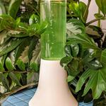 AlgenAir Aerium - Natural Algae Air Purifier
