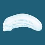 ALIEN Xenomorph Head and Egg Pod Silicone Ice Trays
