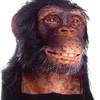 Alive Chimpanzee by WowWee - Animatronic Life-Size Bust with Video