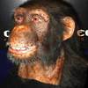 Alive Chimpanzee by WowWee - Animatronic Life-Size Bust with Video